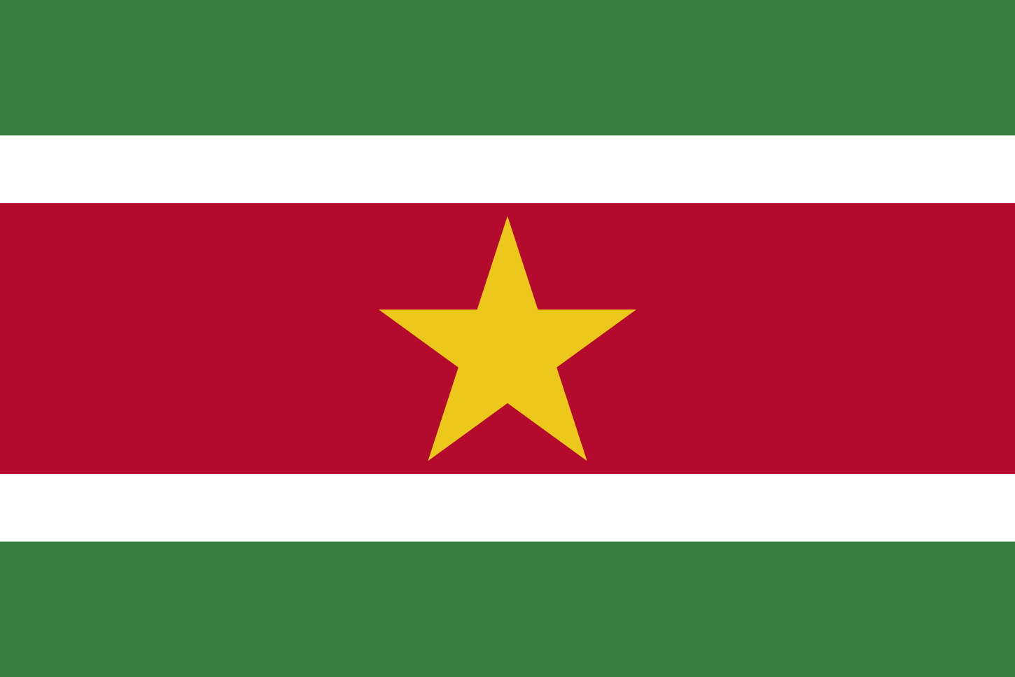 Image du drapeau d'état de l'état Suriname - a la résolution 1450x967 - Amérique du Sud Image du drapeau d'état de l'état Suriname - a la résolution 1450x967 - Amérique du Sud